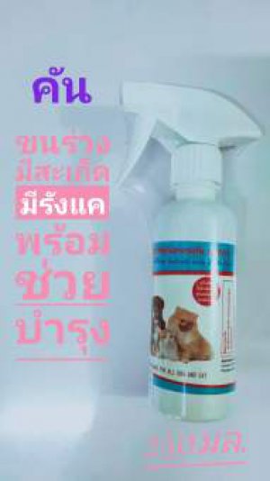 สเปรย์250มล.สำหรับสุนัขที่มีอาการคันผิวหนัง รังแค แห้ง สะเก็ด